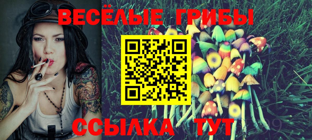 Псилоцибиновые грибы ЛСД Тайшет