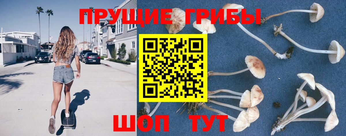 Тайшет  Псилоцибиновые грибы мухоморы  Вход с VPN  Галлюциногенные грибы мухоморы 